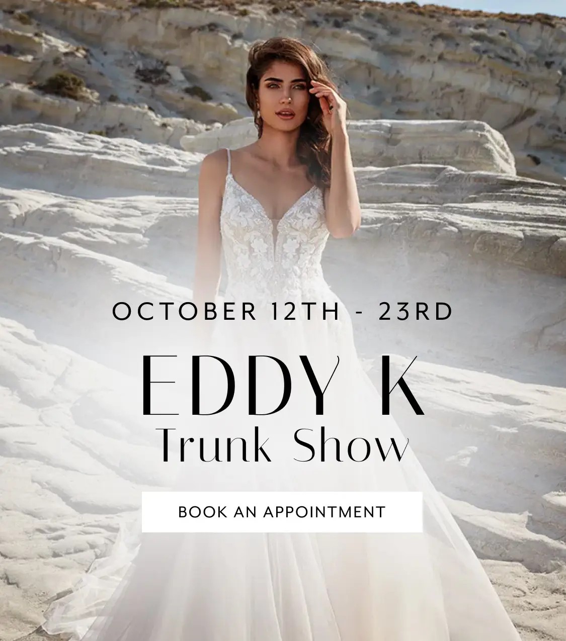 Eddy K Trunk Show Banner