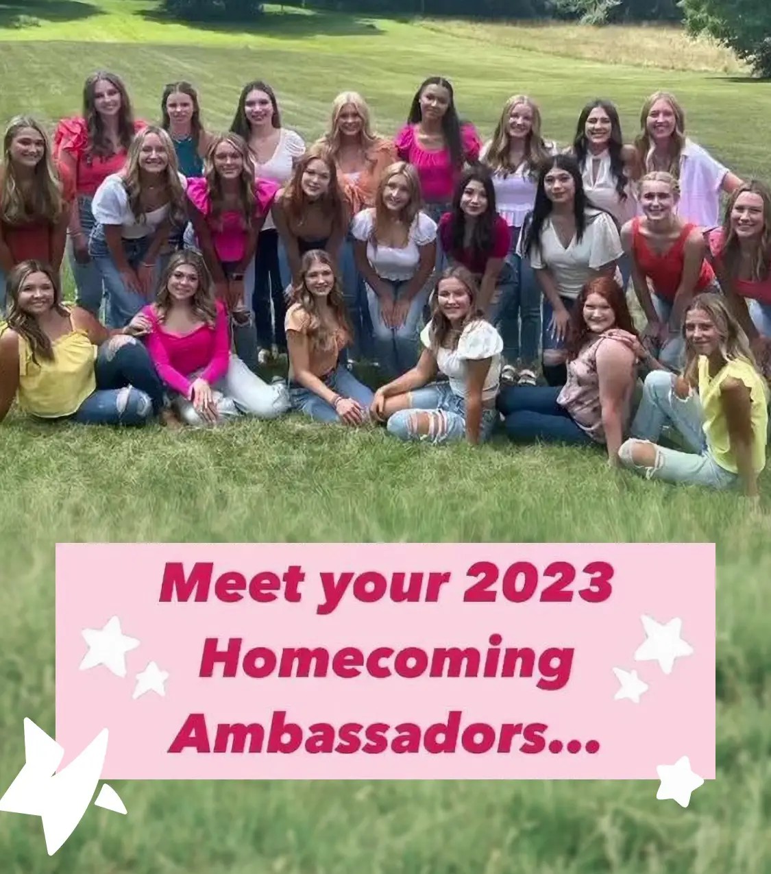 Homecoming Ambassadors banner mobile